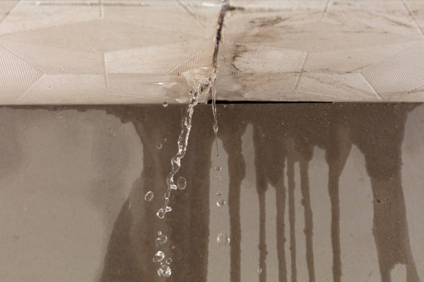 Professional Flood Damage Cleanup technician working in Kingston, MI